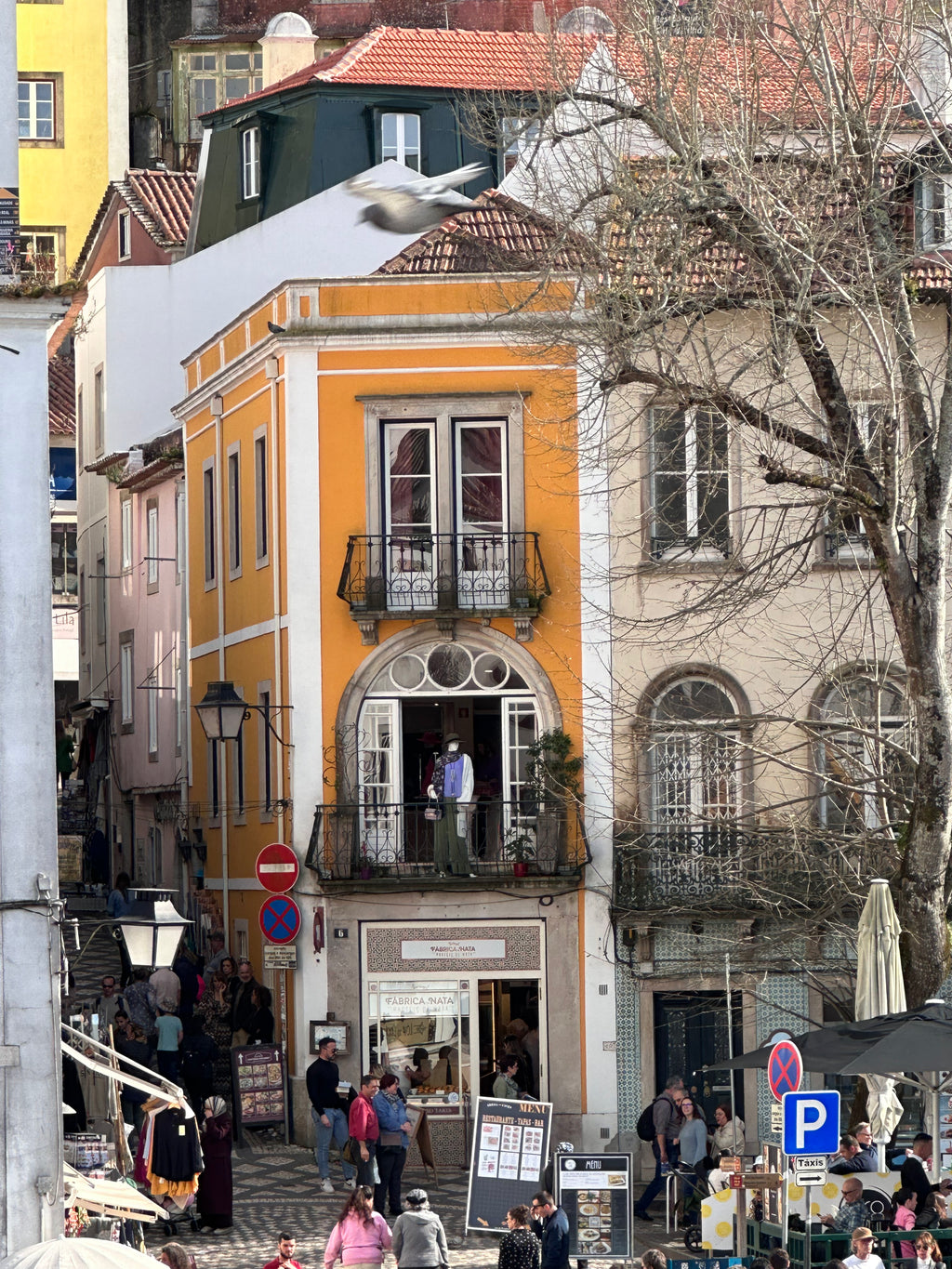 Noskaņas, skati un piedzīvojumi – Lisabona aicina