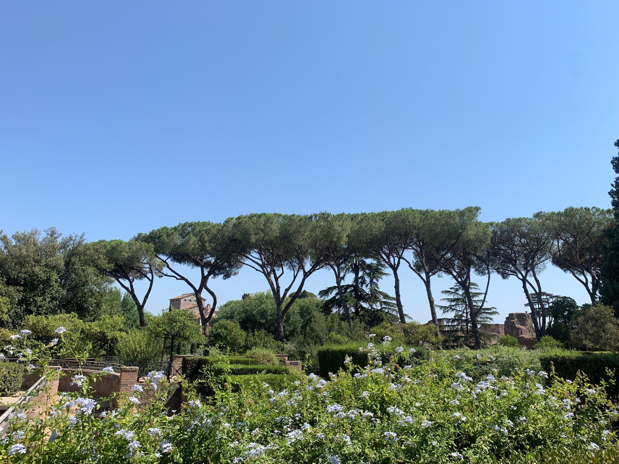 Ceļojums uz Romu Itālijas La Dolce Vita pieredze