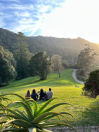 Noskaņas, skati un piedzīvojumi – Lisabona aicina