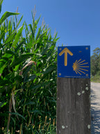 Mūsu Santjago ceļš: Portugāļu maršruts no Porto līdz Santiago de Compostela