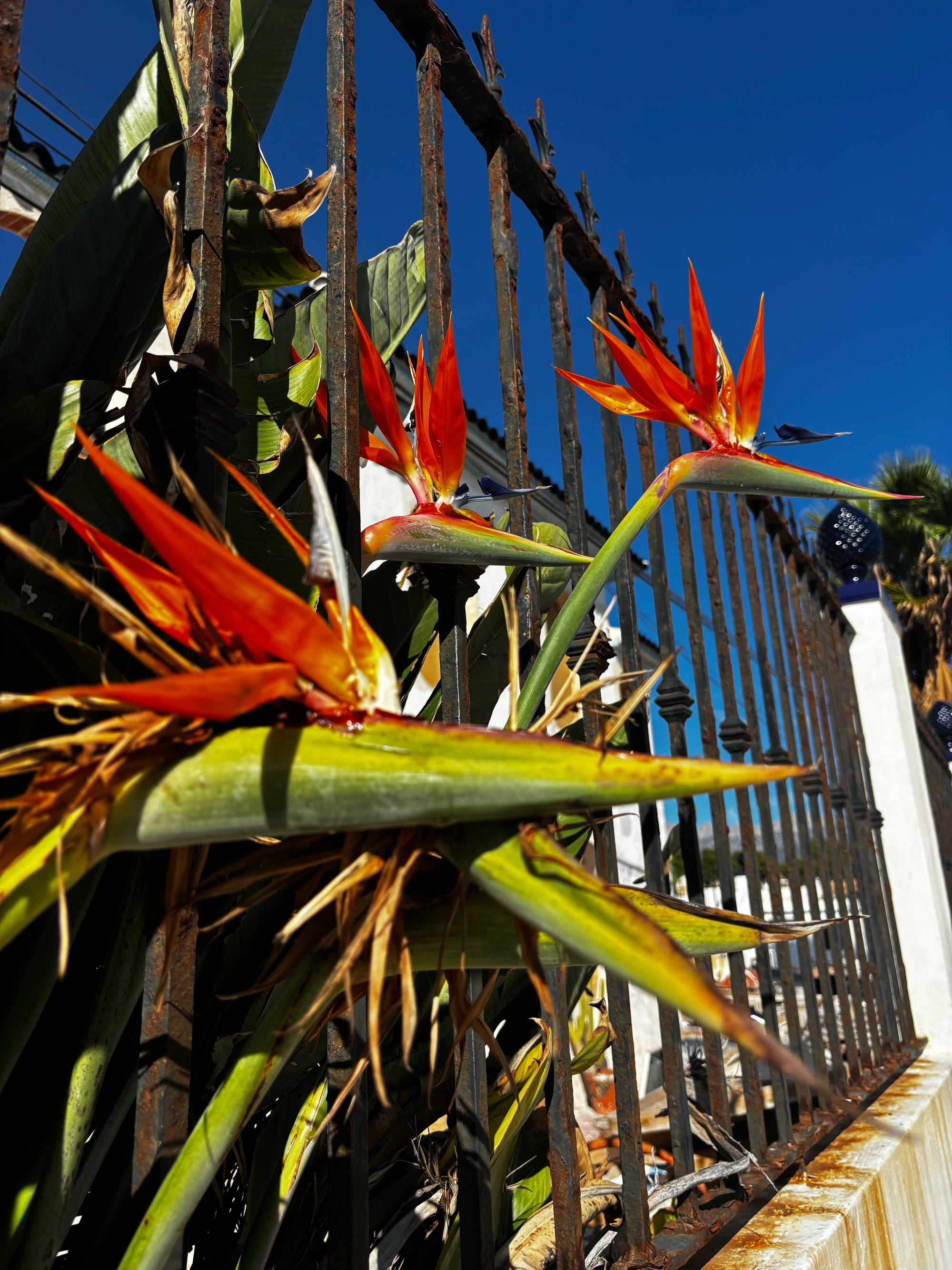 Atpūta Costa Blanca