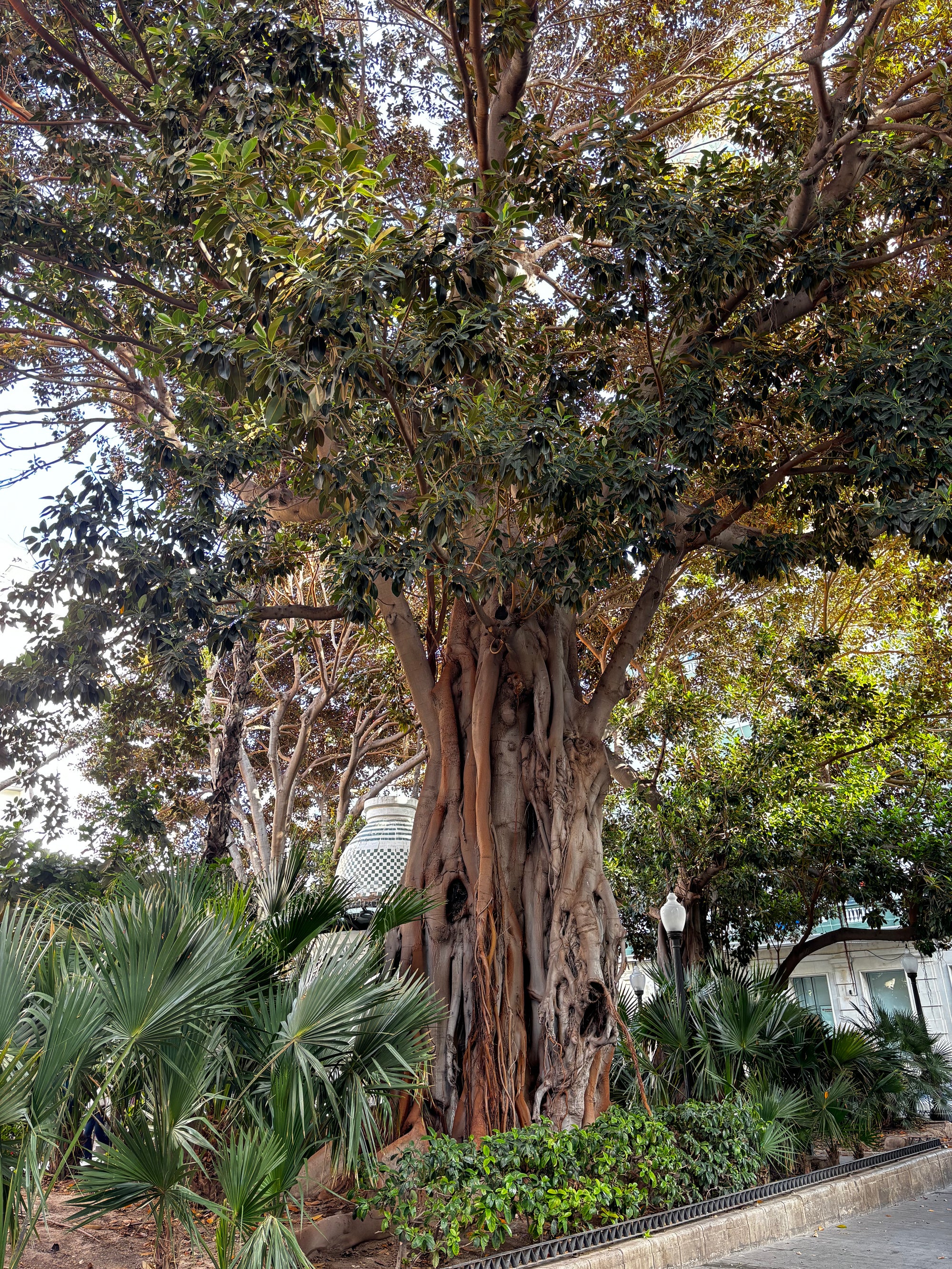 Atpūta Costa Blanca