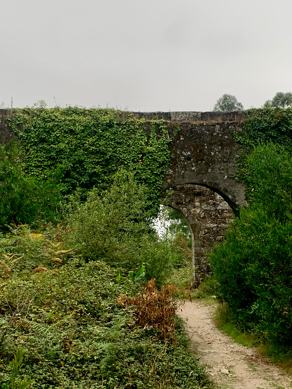 Mūsu Santjago ceļš: Portugāļu maršruts no Porto līdz Santiago de Compostela