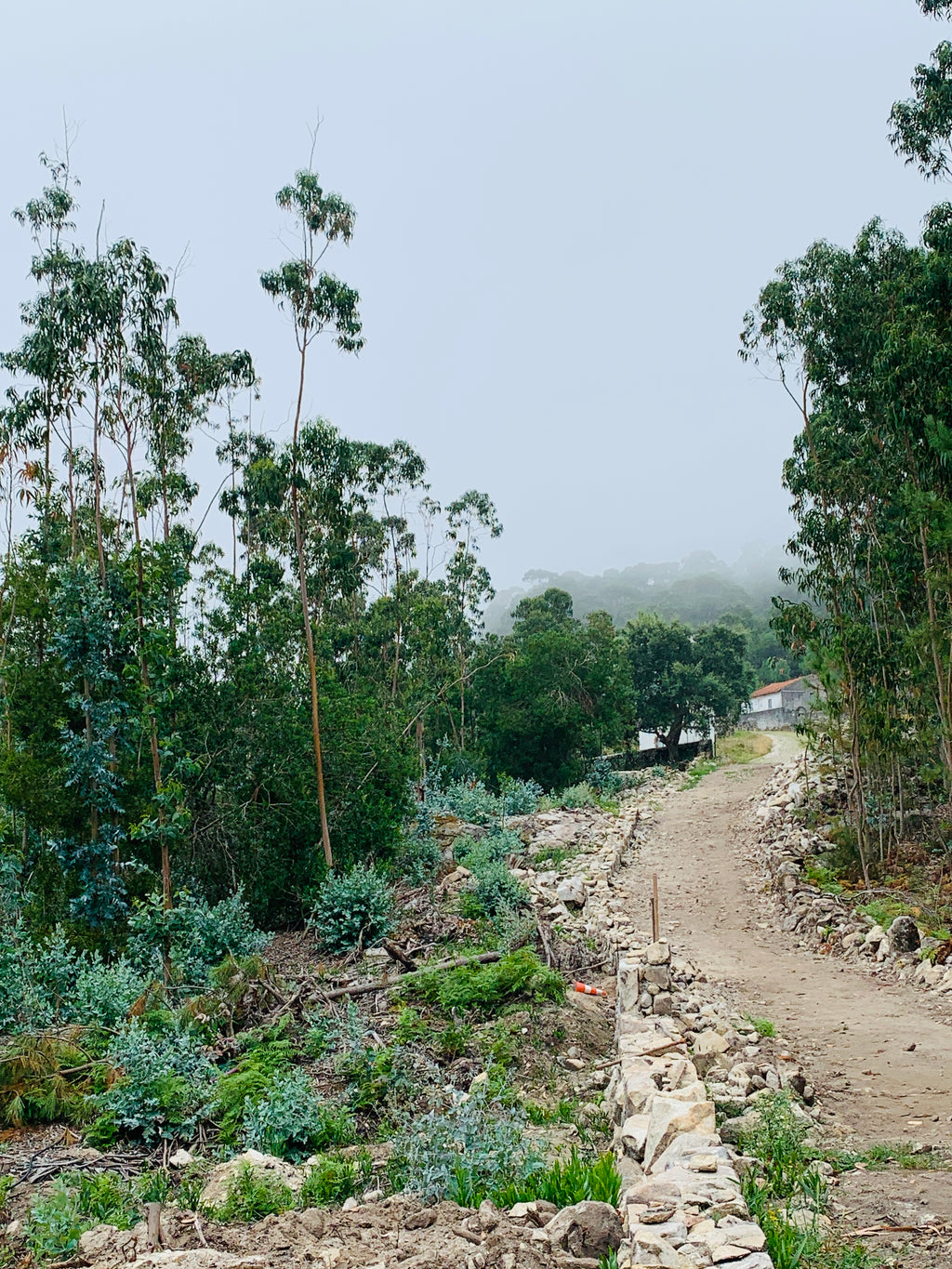 Mūsu Santjago ceļš: Portugāļu maršruts no Porto līdz Santiago de Compostela