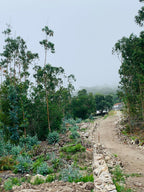Mūsu Santjago ceļš: Portugāļu maršruts no Porto līdz Santiago de Compostela