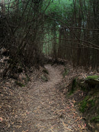 Mūsu Santjago ceļš: Portugāļu maršruts no Porto līdz Santiago de Compostela