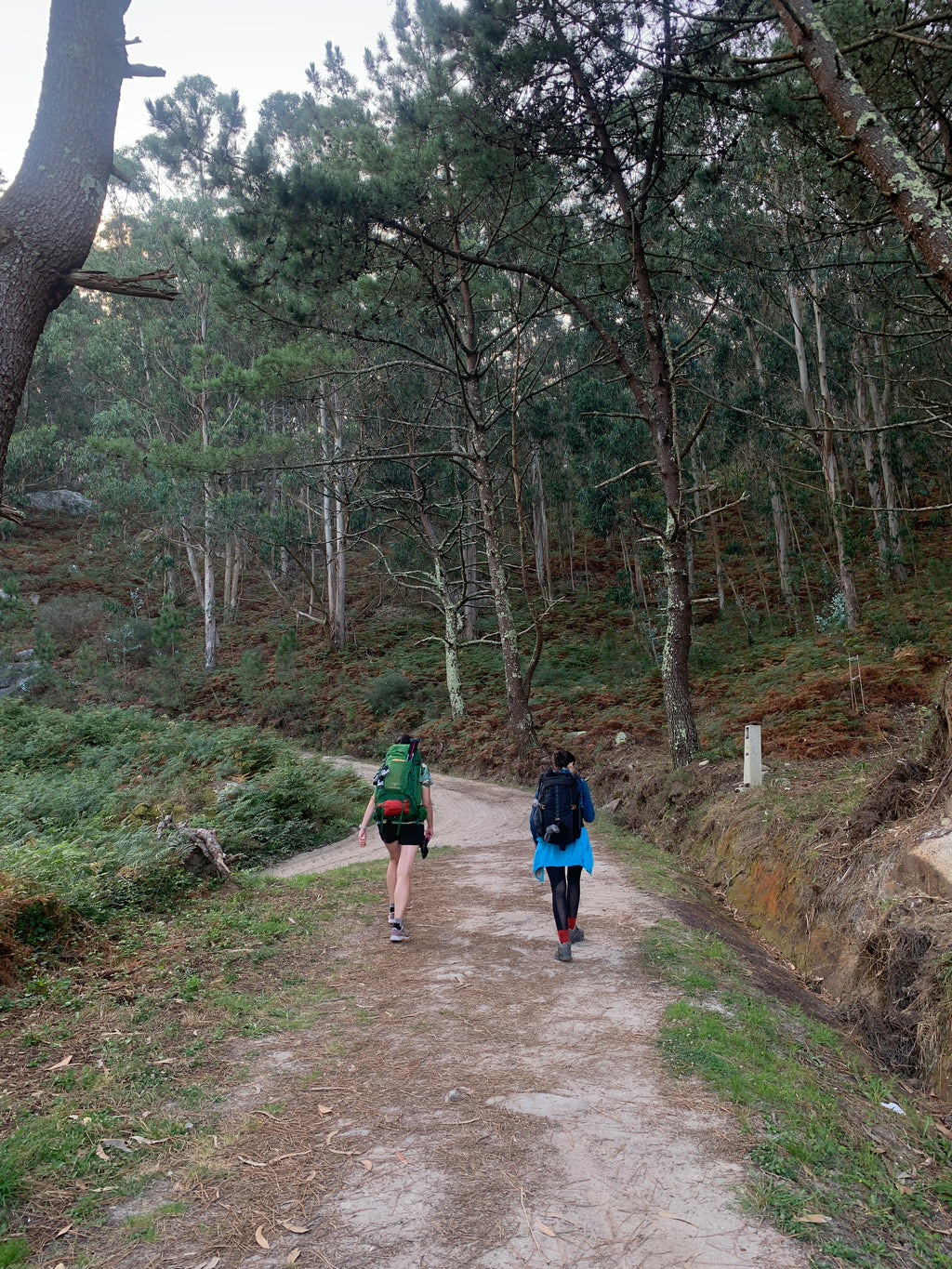 Mūsu Santjago ceļš: Portugāļu maršruts no Porto līdz Santiago de Compostela