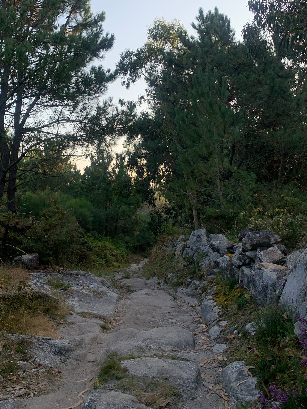 Mūsu Santjago ceļš: Portugāļu maršruts no Porto līdz Santiago de Compostela