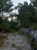 Mūsu Santjago ceļš: Portugāļu maršruts no Porto līdz Santiago de Compostela