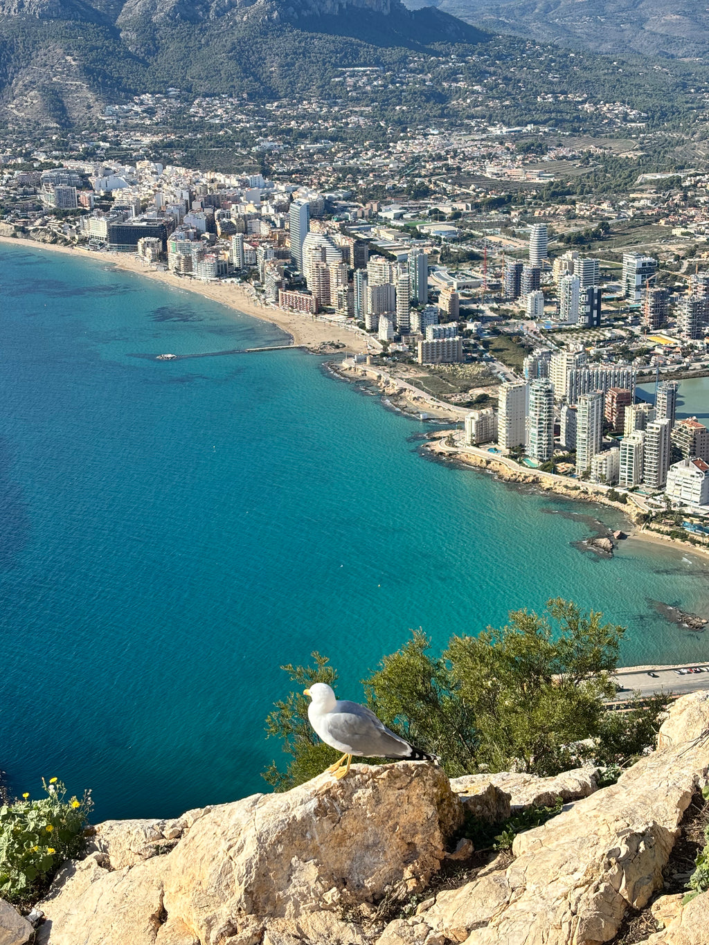 Vasaras sākums Spānijā: Vidusjūra un Tabarca