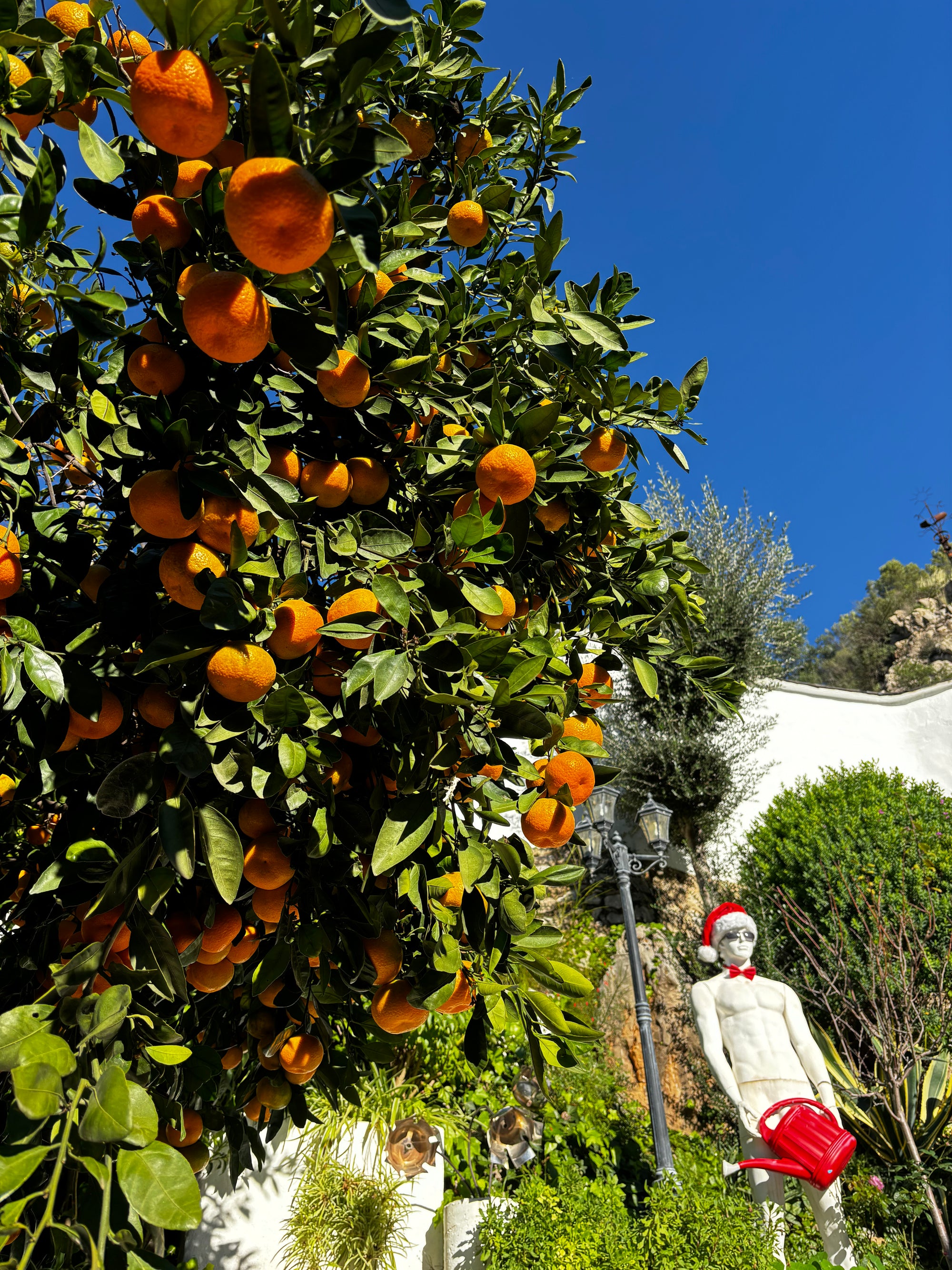 Atpūta Costa Blanca