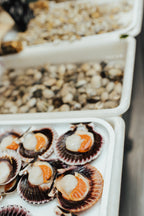 Ziemas saules pieskāriens Andalūzijā