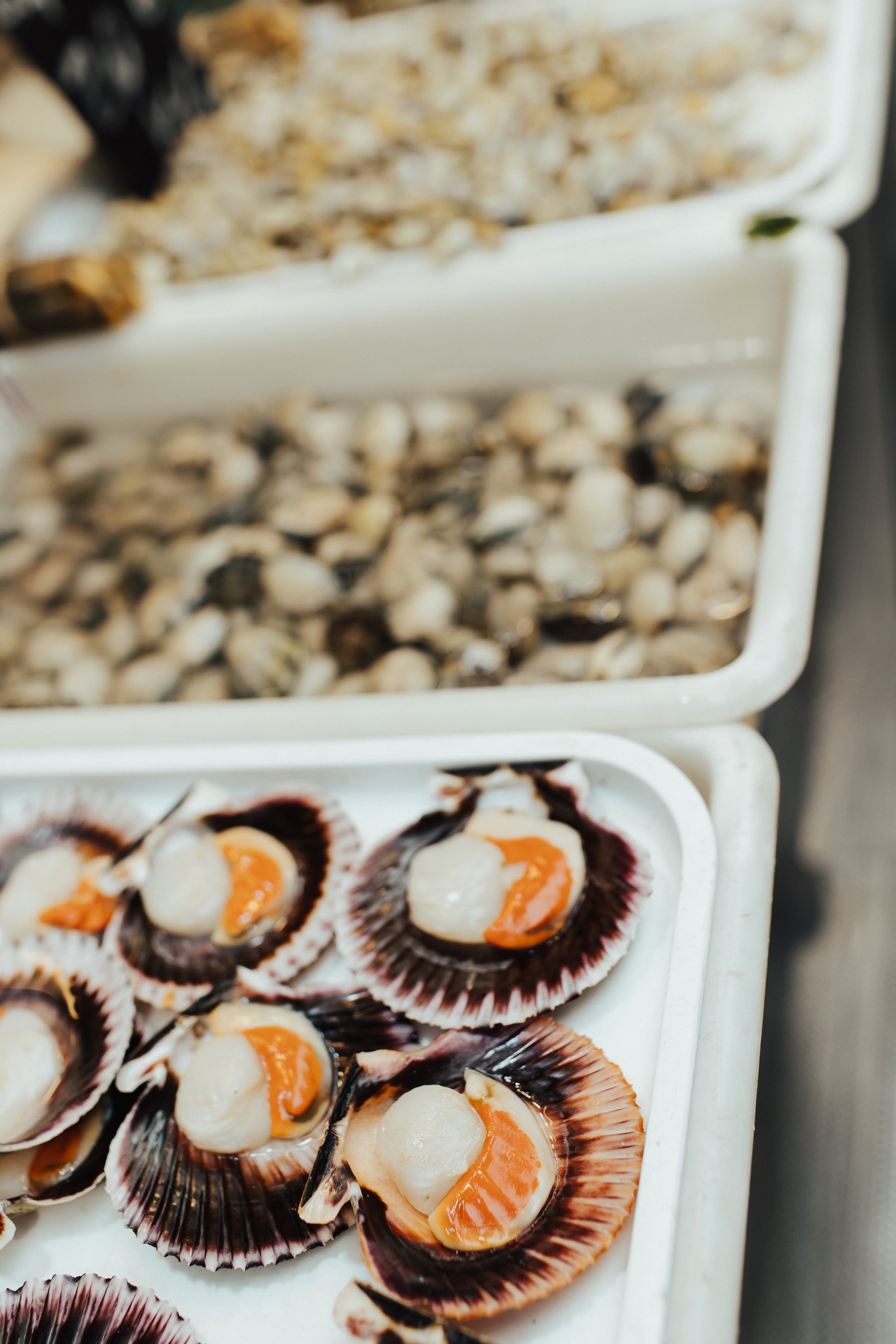 Ziemas saules pieskāriens Andalūzijā