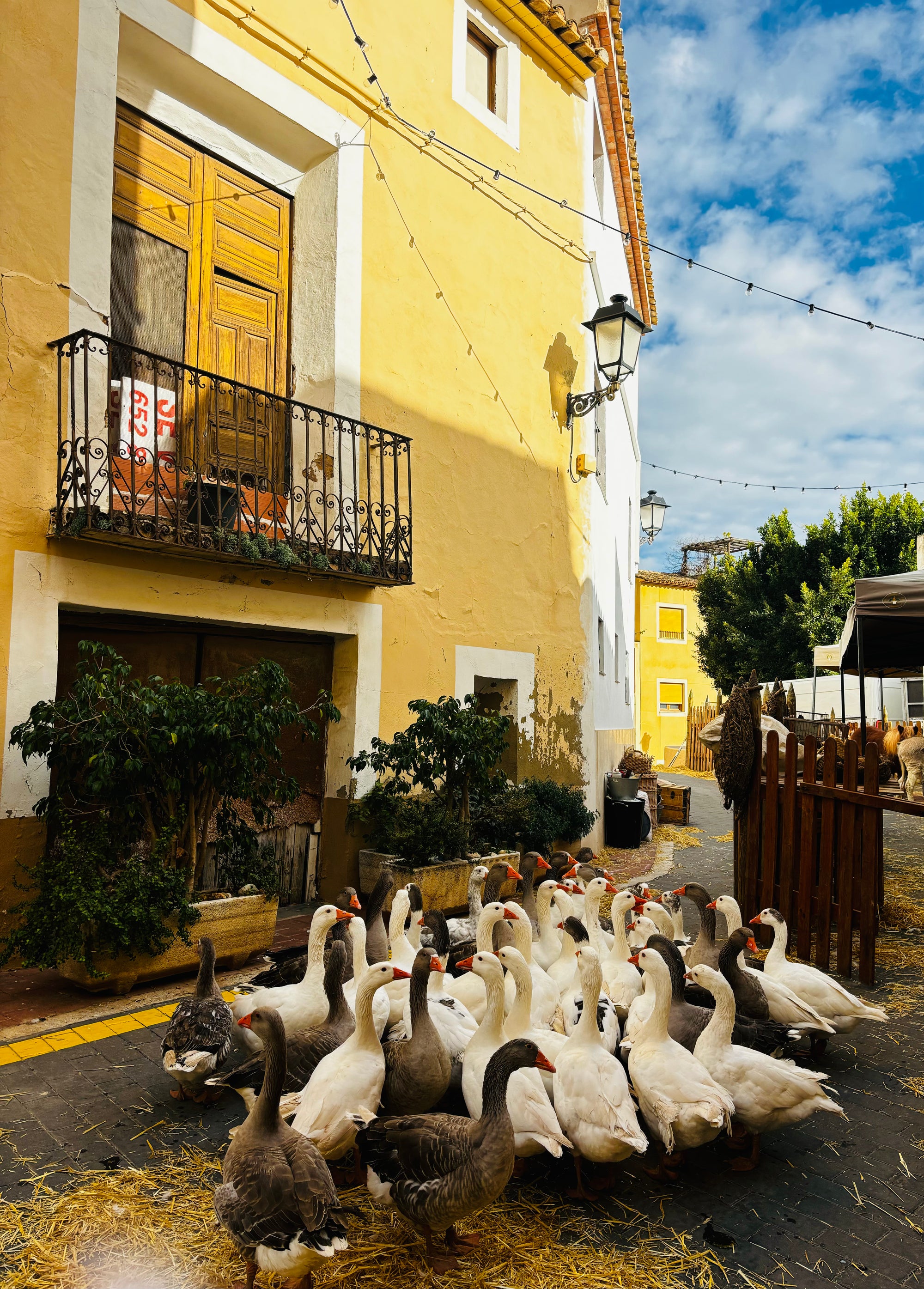 Atpūta Costa Blanca