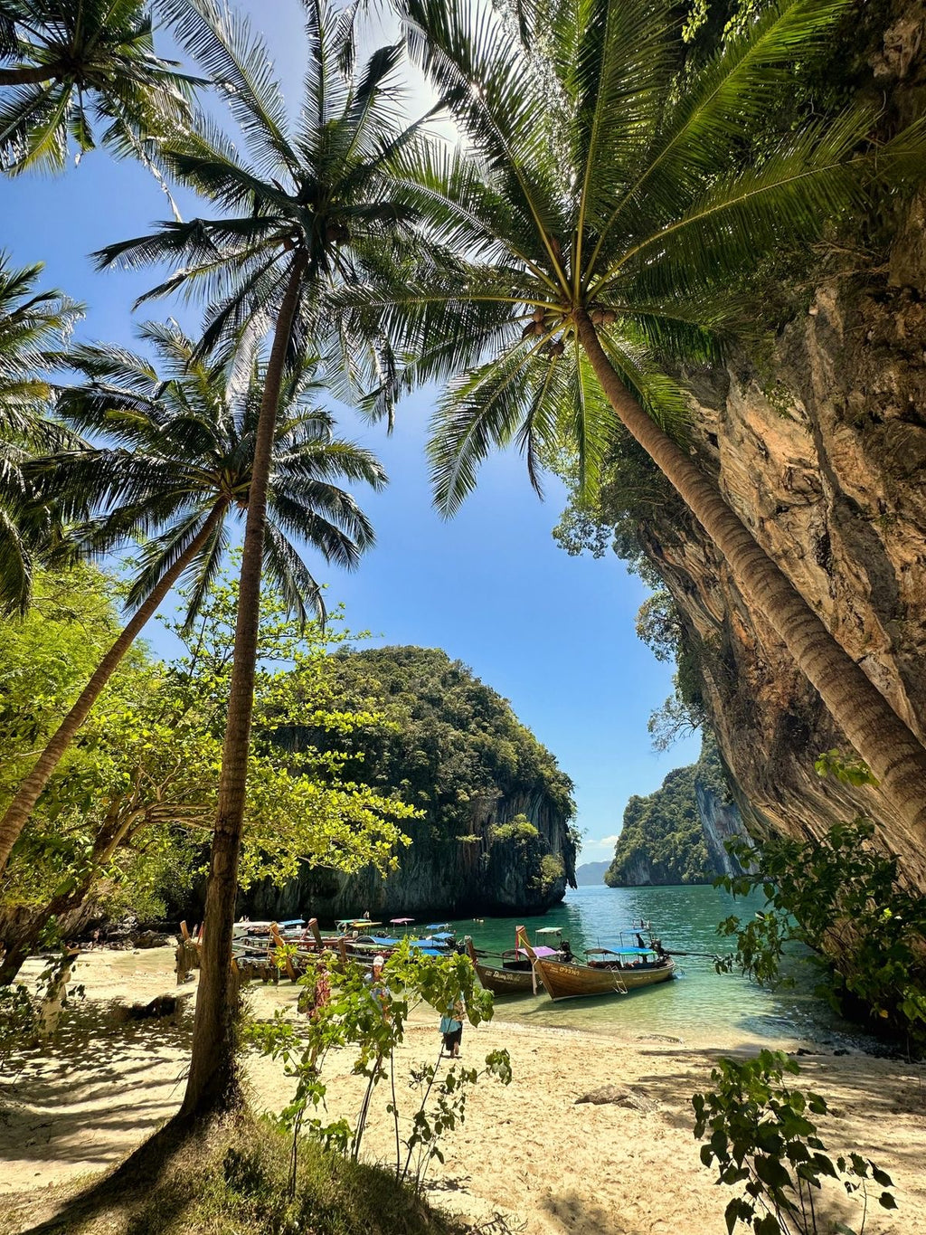 Pludmale ar palmām