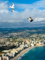 Vasaras sākums Spānijā: Vidusjūra un Tabarca