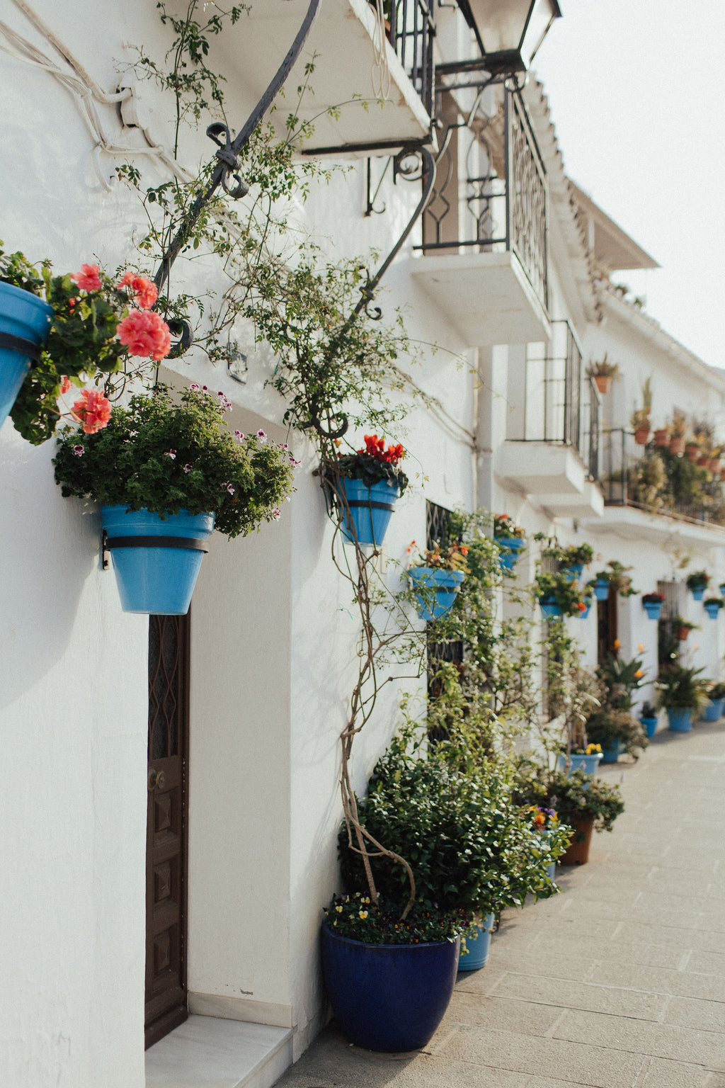 Ziemas saules pieskāriens Andalūzijā