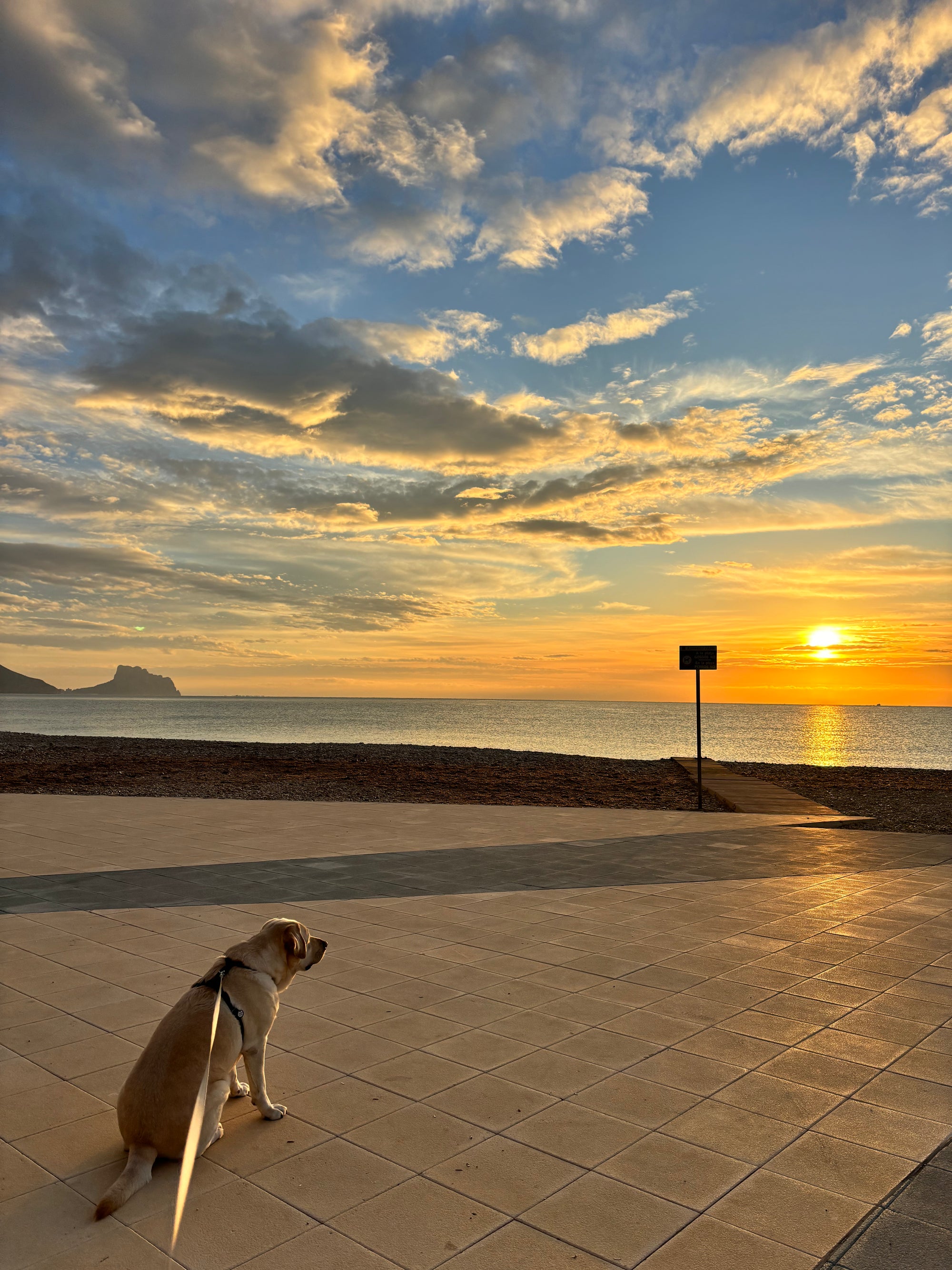 Bohēmas baudītājiem – māksla, jūra un dzīves garša Altea (Spānija)