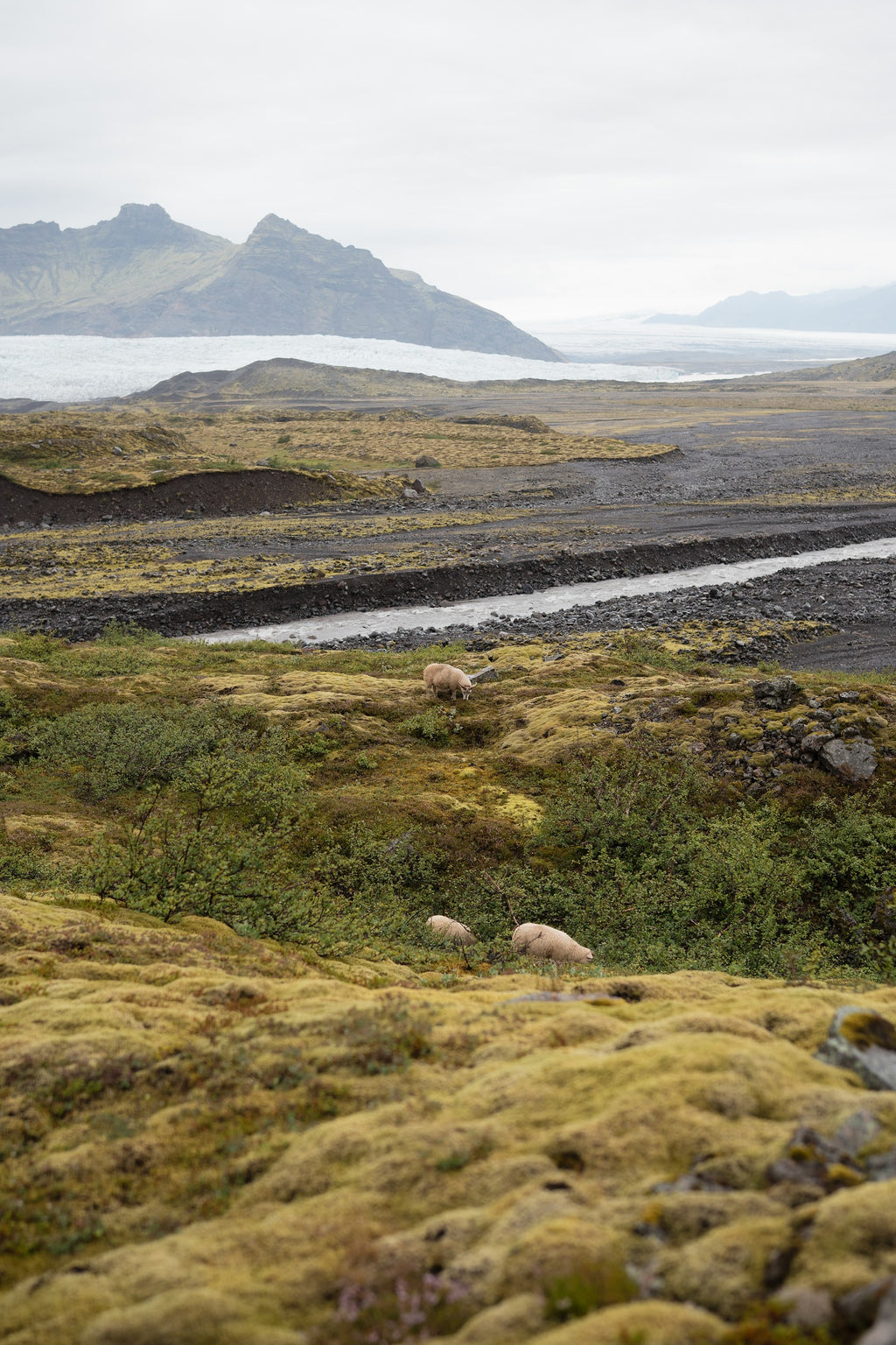 Uguns un ledus zeme Islande