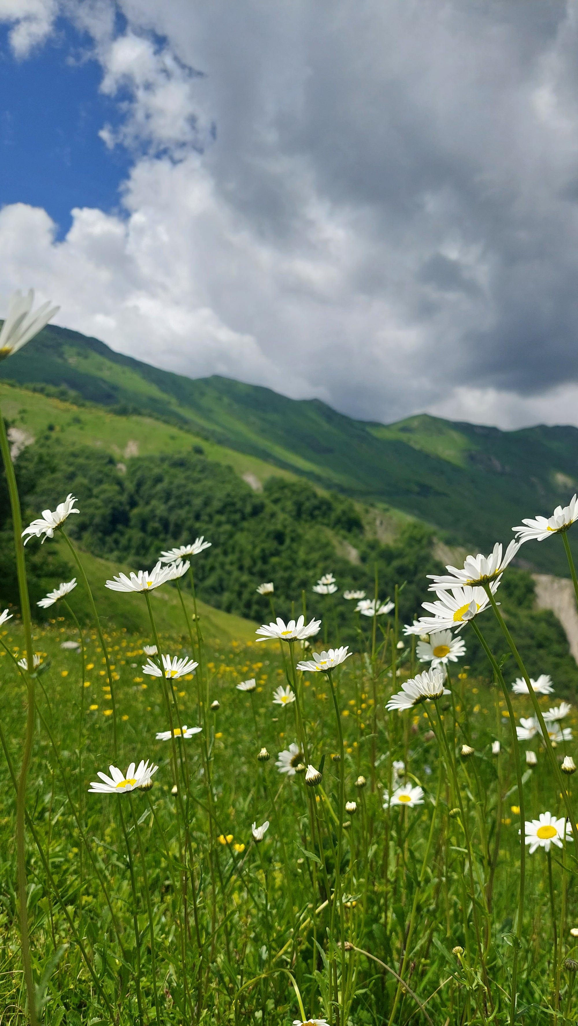 Baudi prieku Gruzijā jūnijā