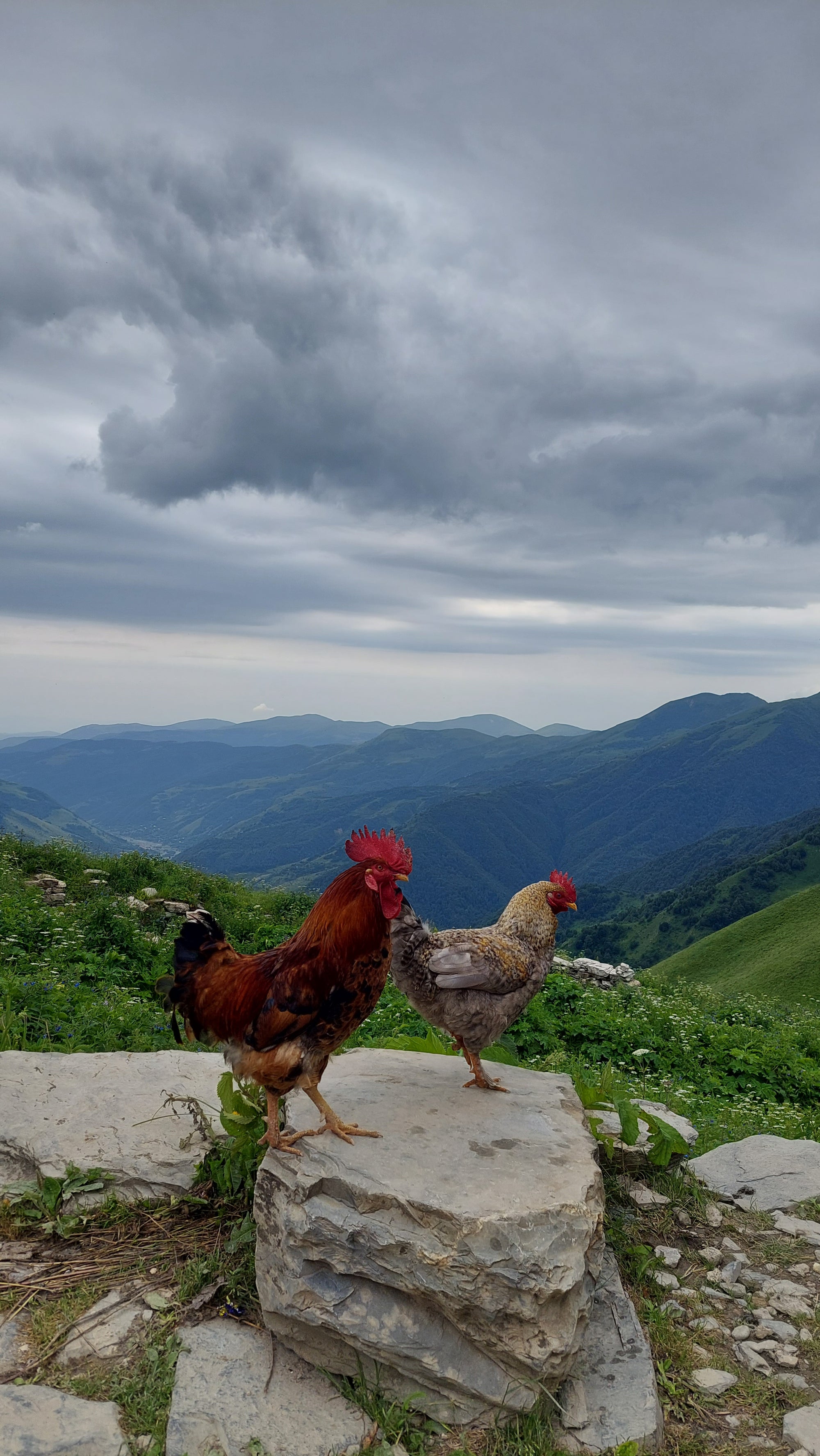 Baudi prieku Gruzijā jūnijā
