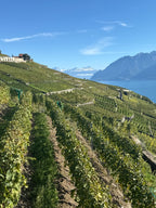 No Francijas dabas līdz Šveices Gruyeres sieram un šokolādes aromātam