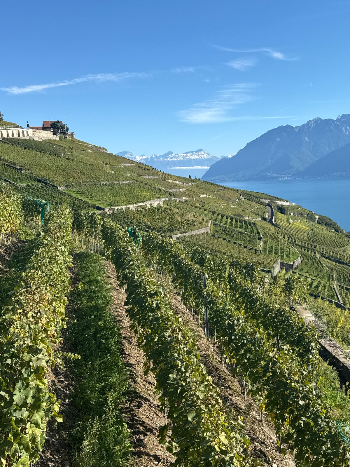 No Francijas dabas līdz Šveices Gruyeres sieram un šokolādes aromātam