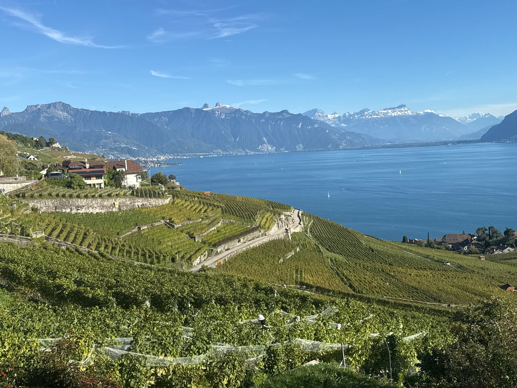No Francijas dabas līdz Šveices Gruyeres sieram un šokolādes aromātam