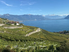No Francijas dabas līdz Šveices Gruyeres sieram un šokolādes aromātam