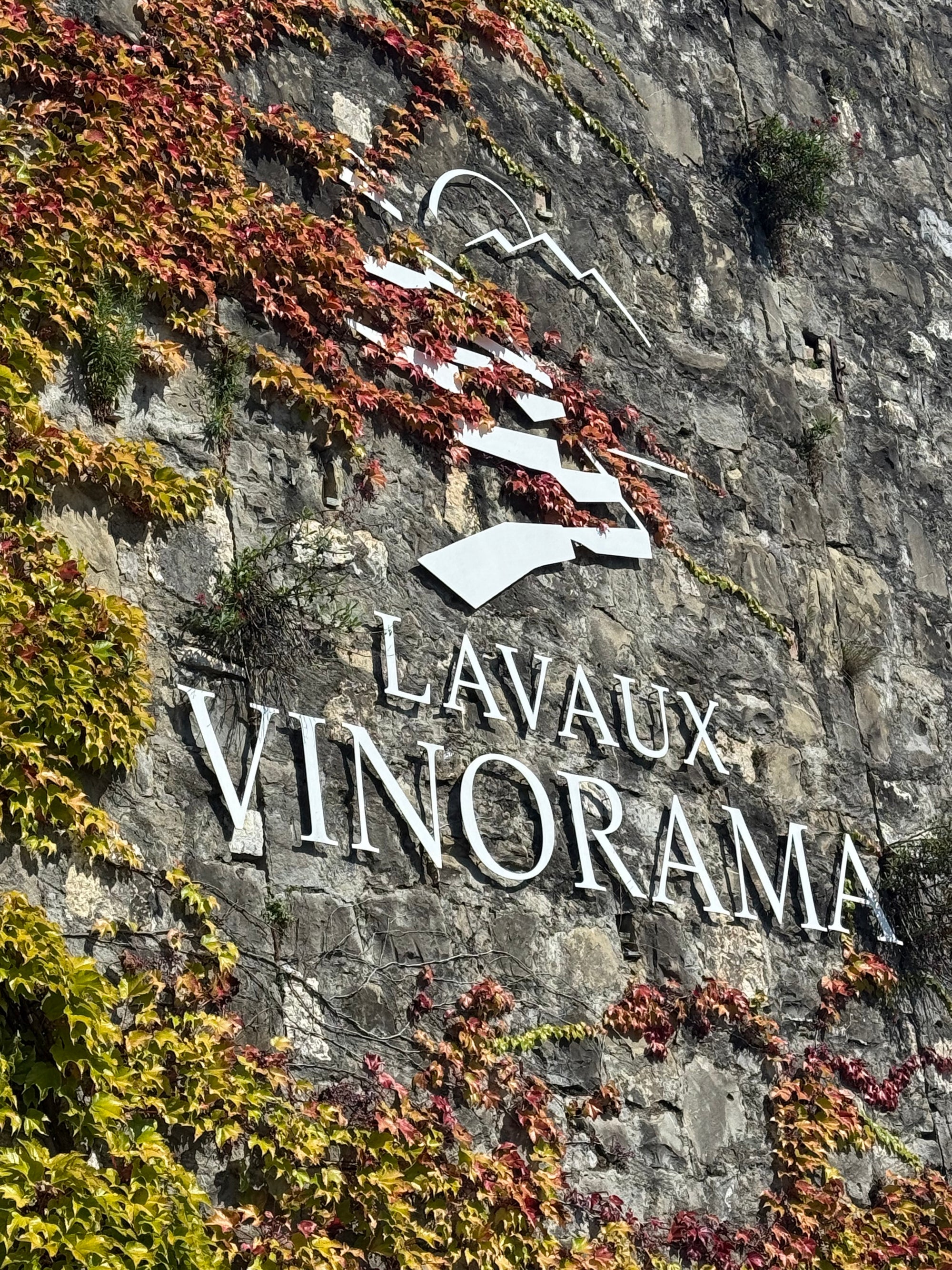 No Francijas dabas līdz Šveices Gruyeres sieram un šokolādes aromātam
