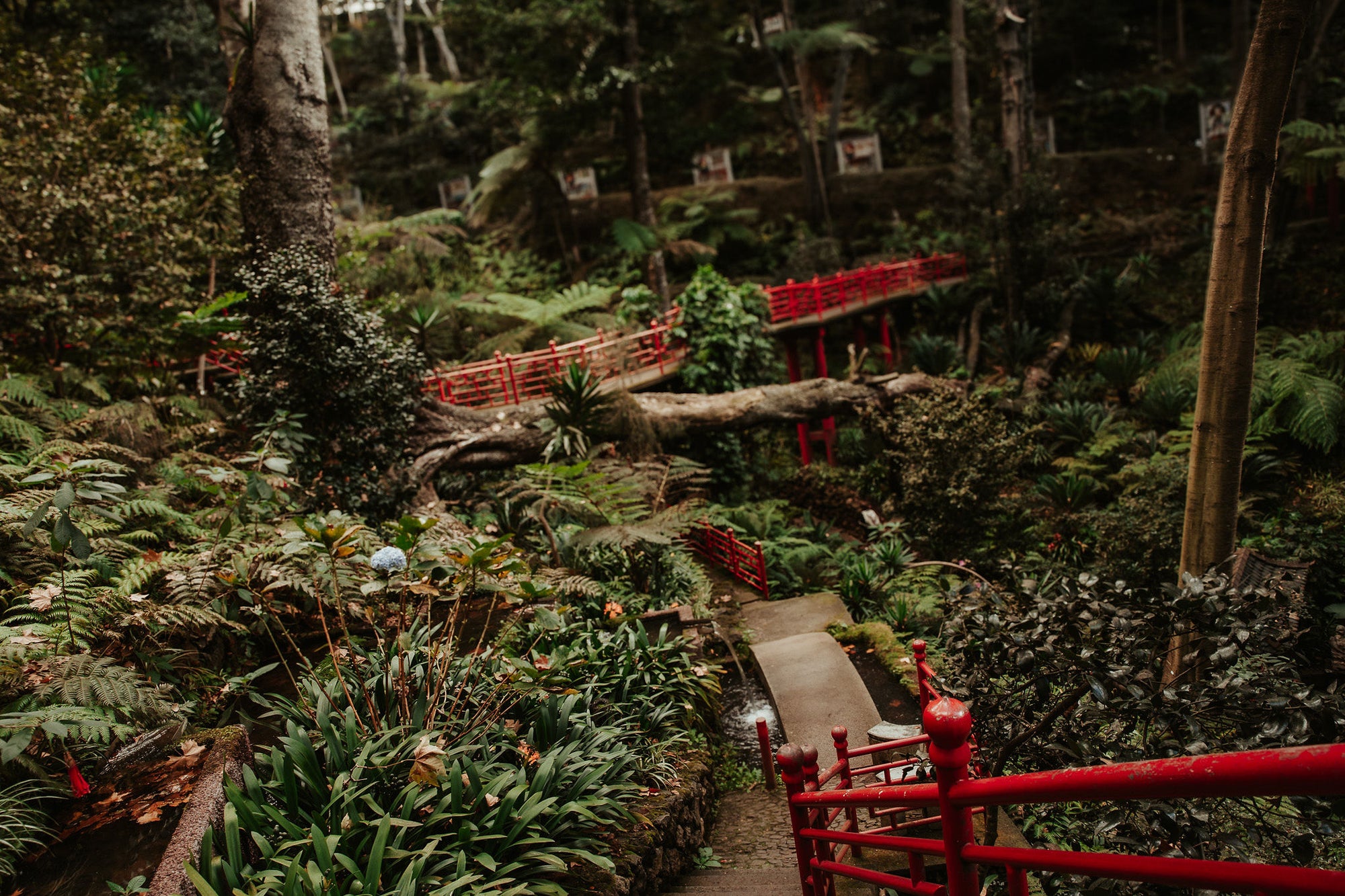 Atklāj Lisabonu un Madeiru