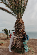 Atlantijas sajūtas: Lisabona & Madeira