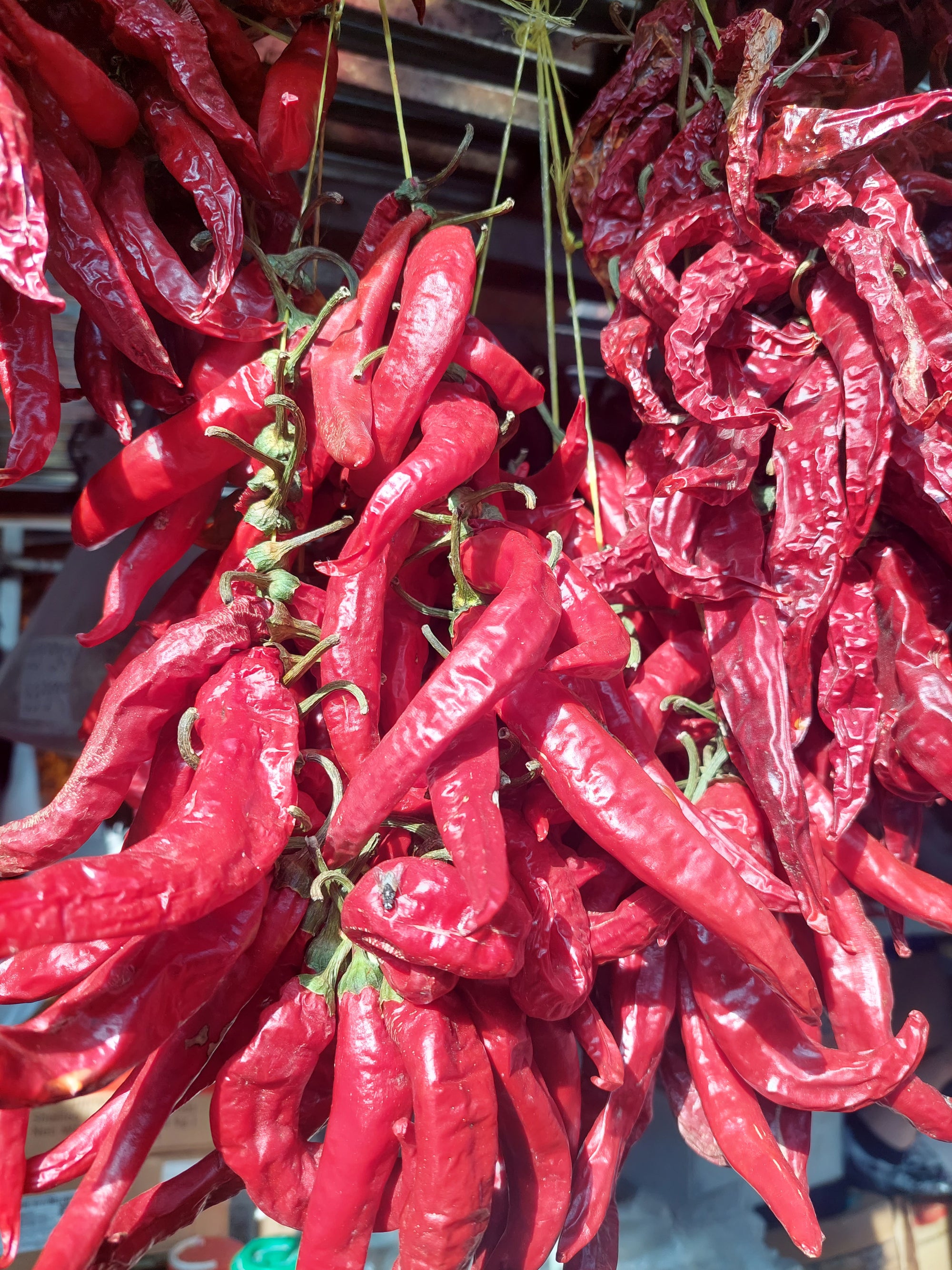 Baudi prieku Gruzijā maijā