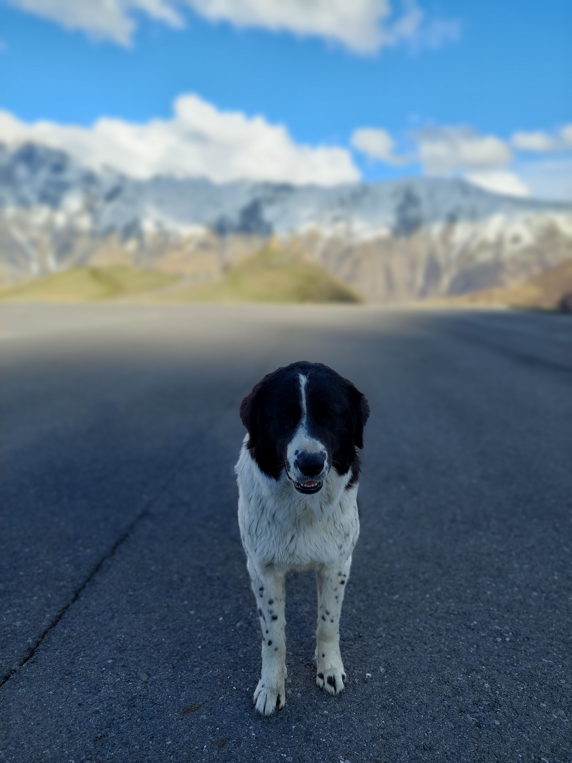 Baudi prieku Gruzijā jūnijā