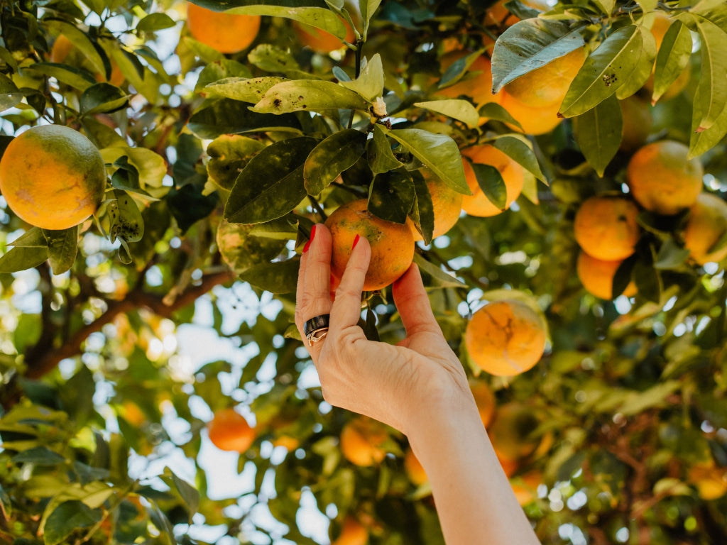 Ziemas saules pieskāriens Andalūzijā