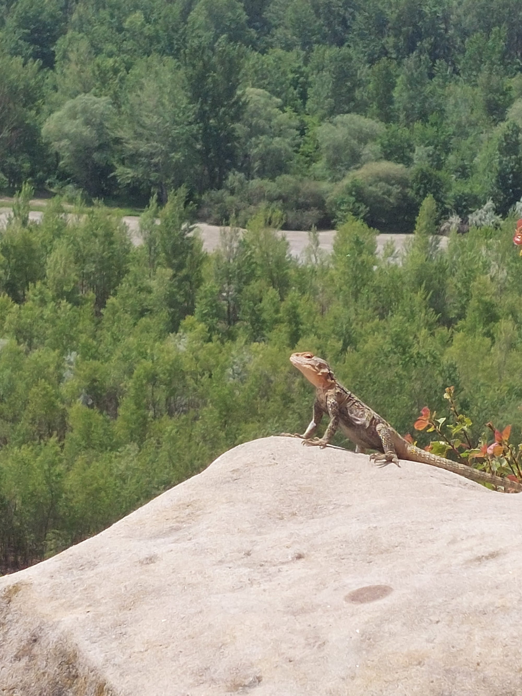 Baudi prieku Gruzijā maijā