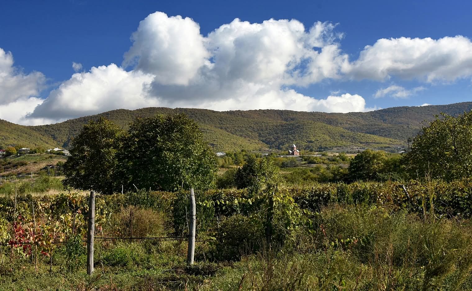 Baudi prieku Gruzijā jūnijā