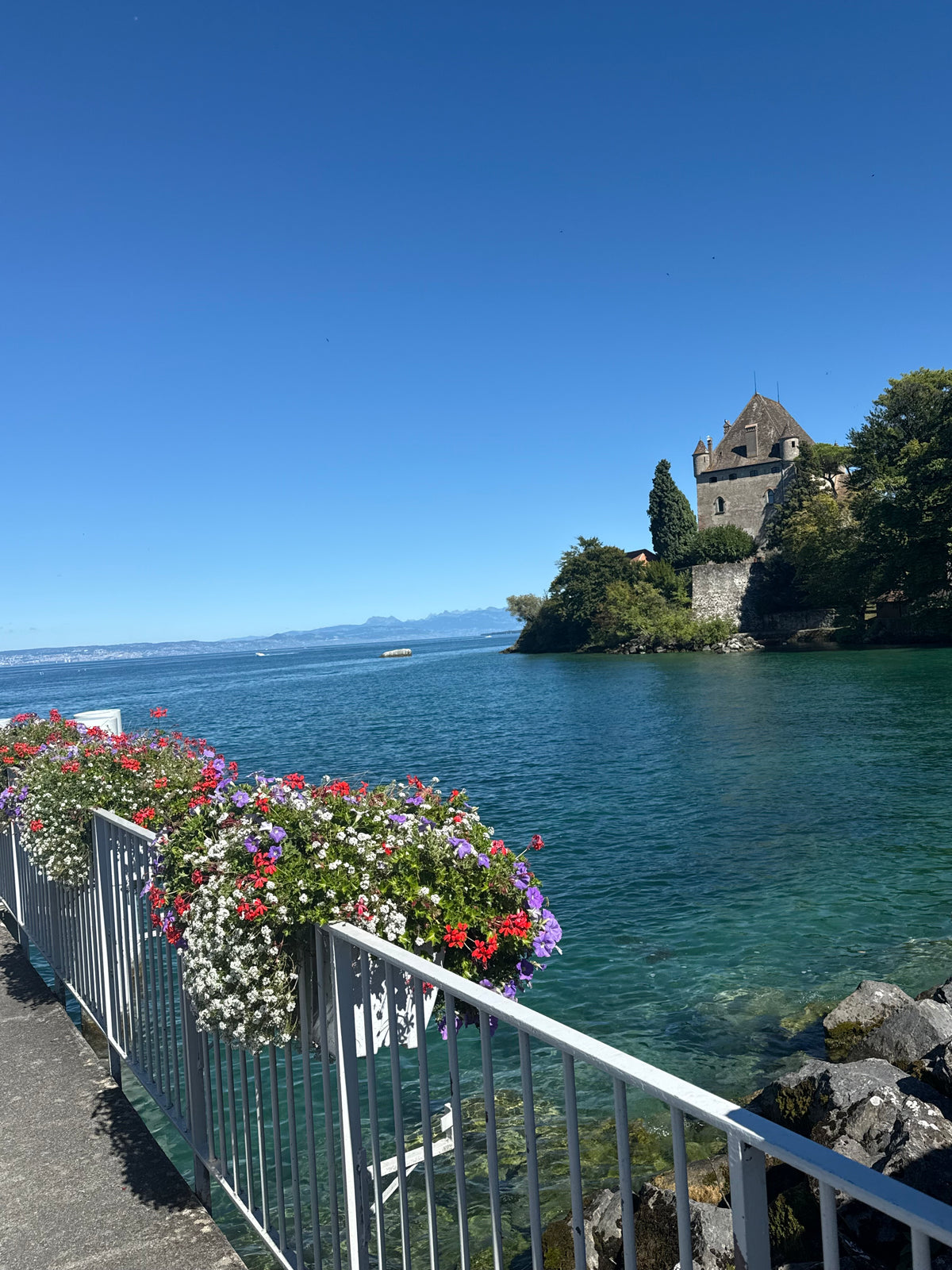 No Francijas dabas līdz Šveices Gruyeres sieram un šokolādes aromātam