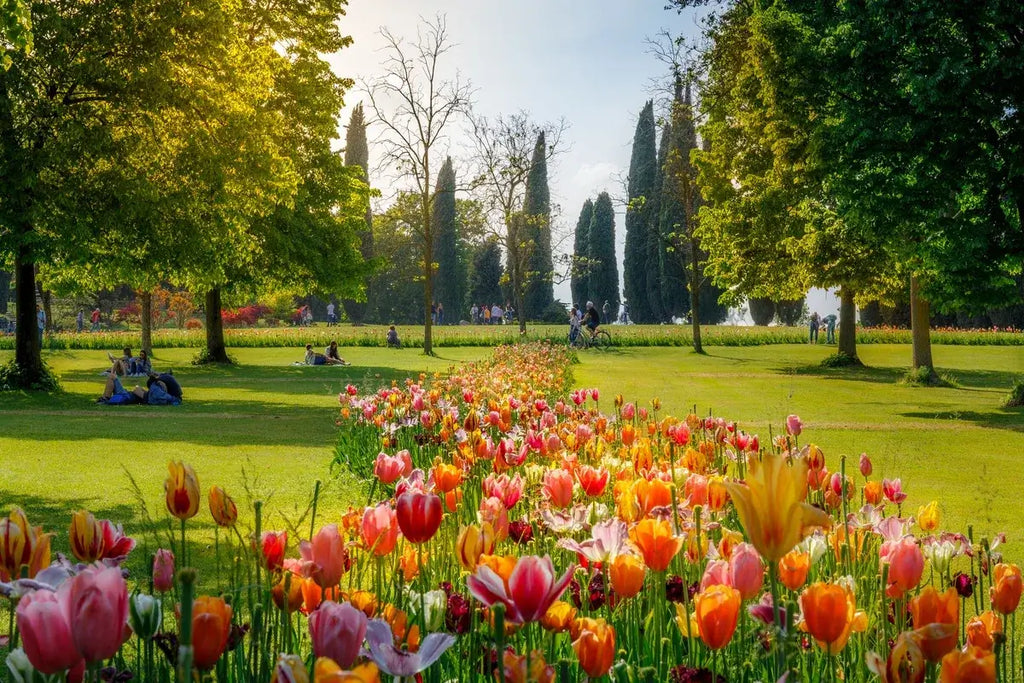 Pavasara elpa pie Gardas ezera