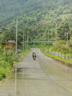 Malaizija, Borneo un Bruneja