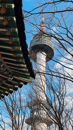 Dienvidkoreja