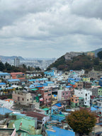 Dienvidkoreja