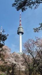Dienvidkoreja