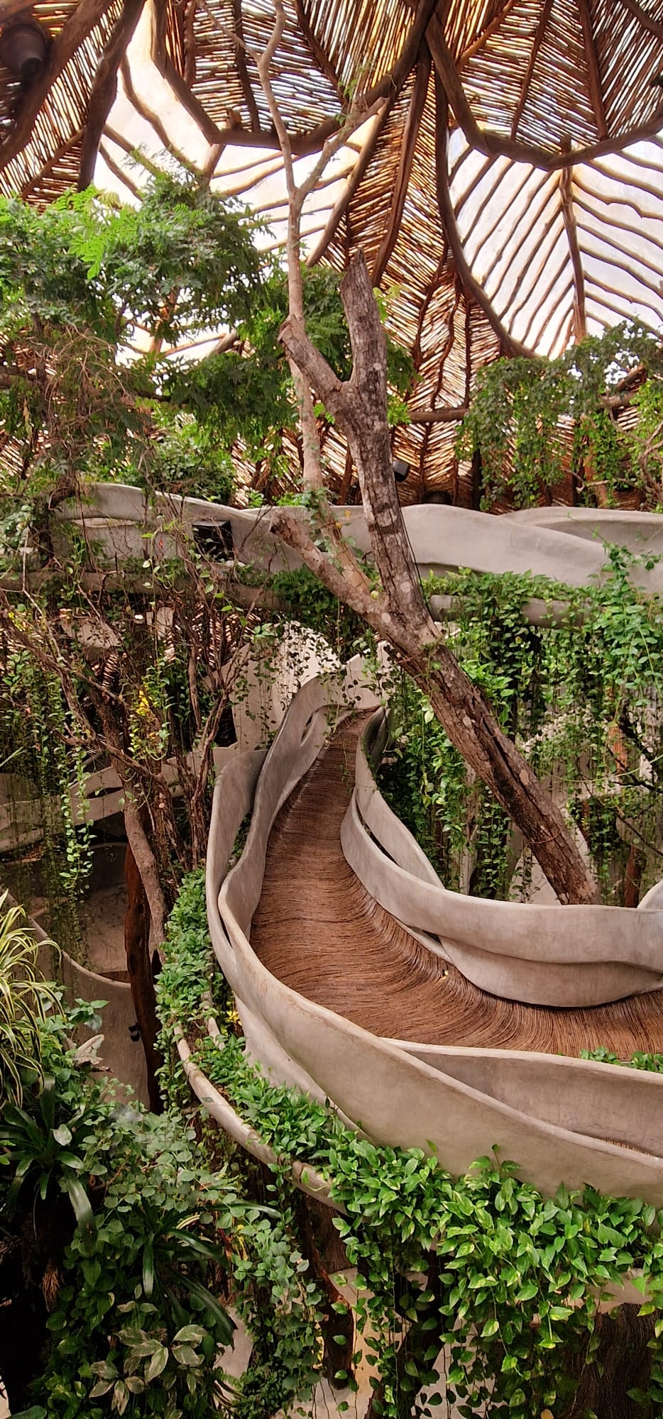 MEKSIKA - Karību jūra, maiju noslēpumi un sajūtas