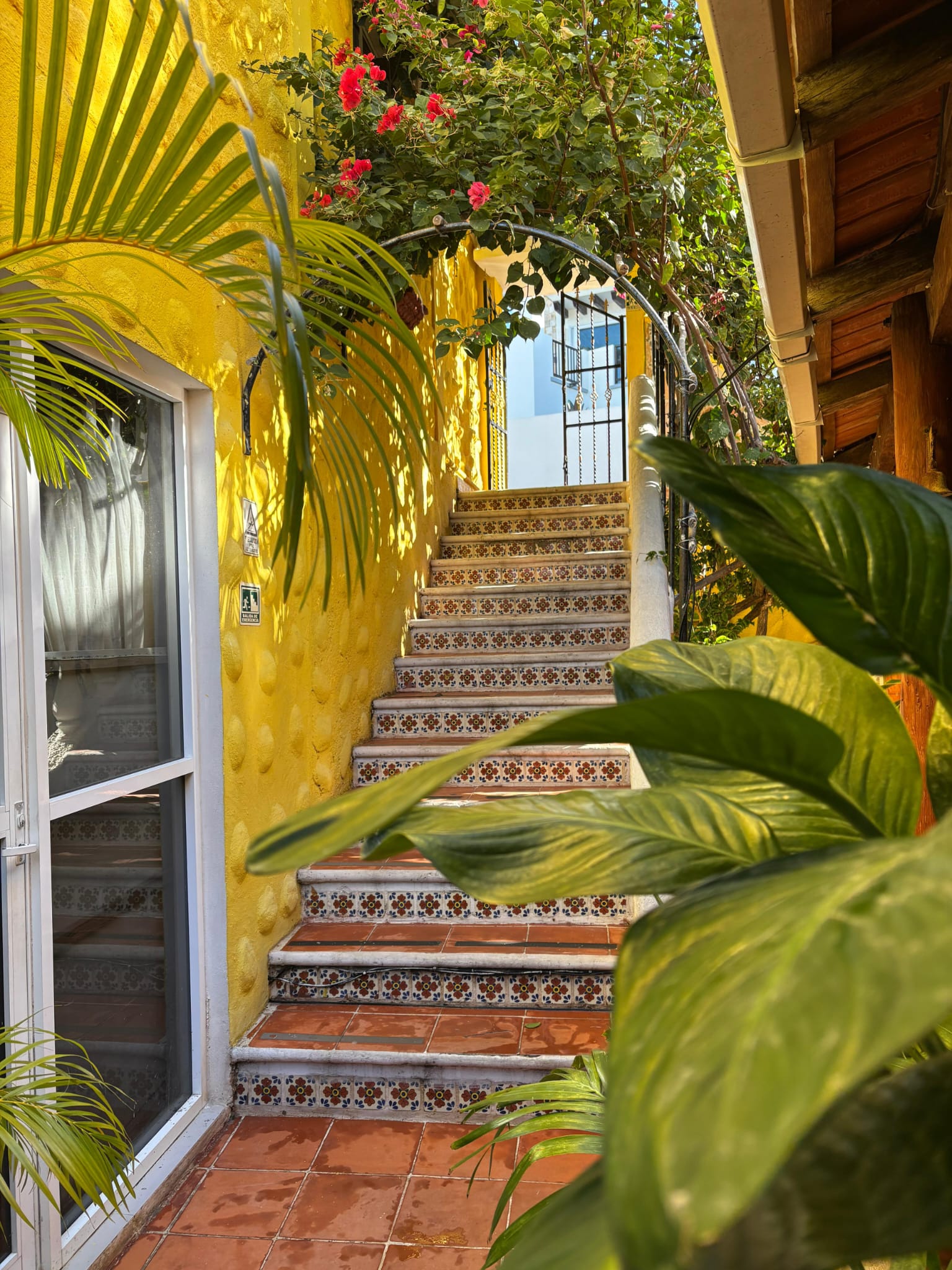 MEKSIKA - Karību jūra, maiju noslēpumi un sajūtas