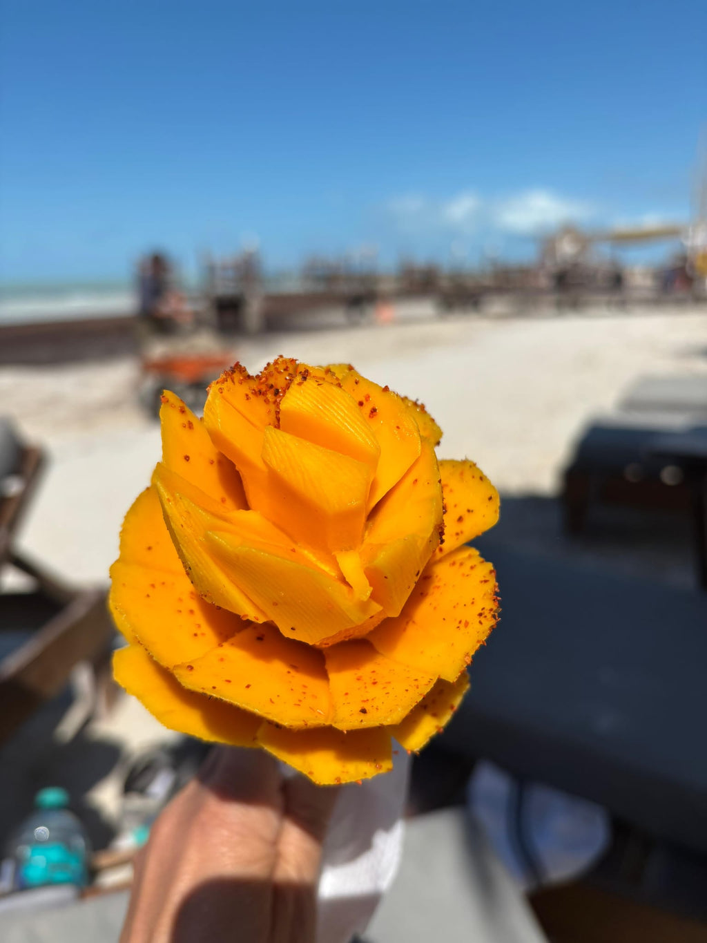 MEKSIKA - Karību jūra, maiju noslēpumi un sajūtas