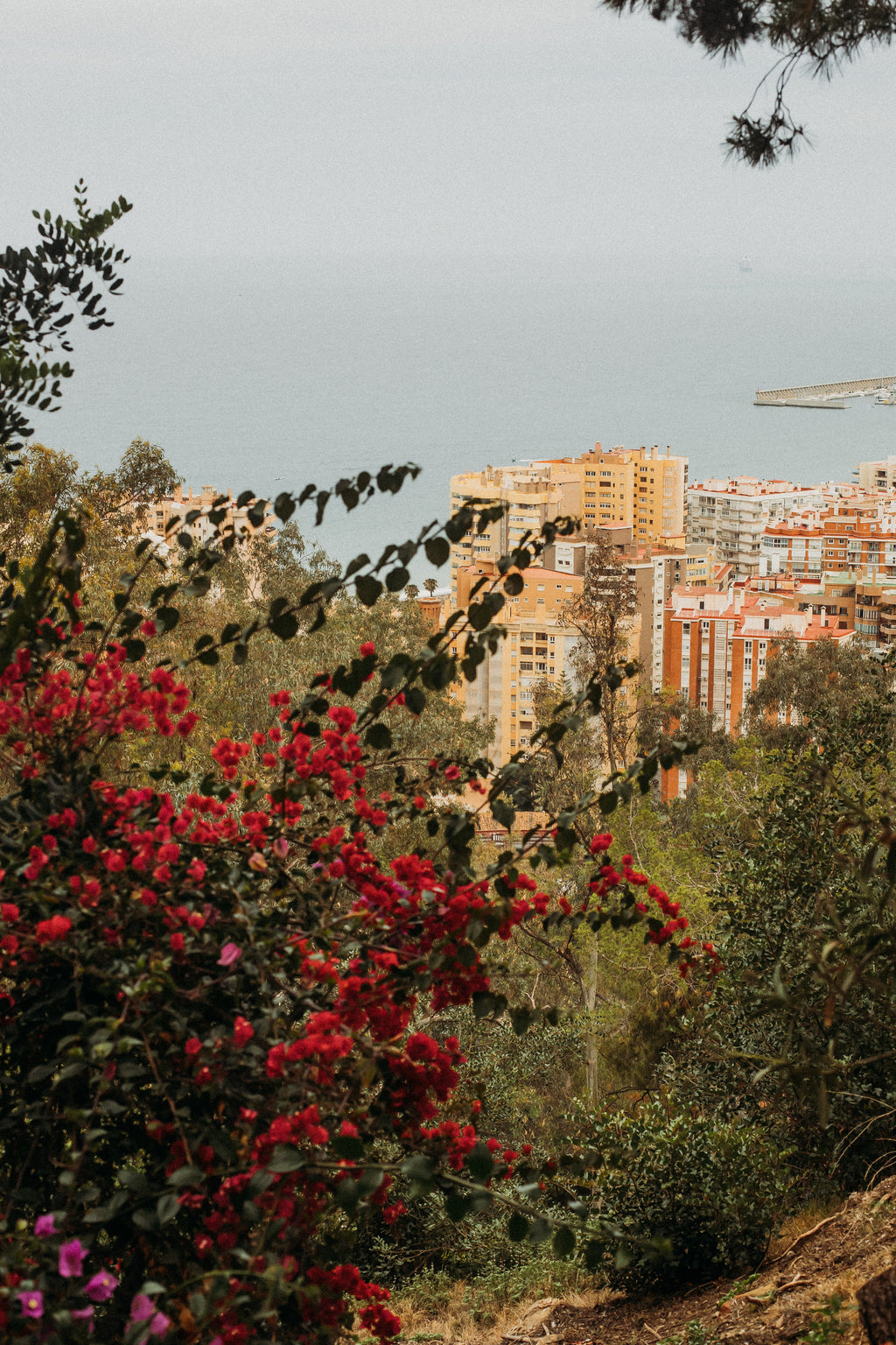 Andalūzijas ceļojums: Spānijas kalnu miers