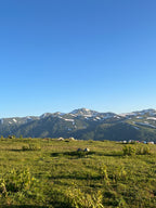 Gruzijas mazpilsēta, kas dzīvo lēni: Melnās jūras piekraste sezonas laikā 2