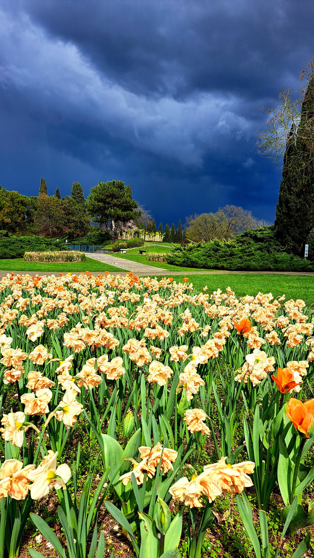 Pavasara elpa pie Gardas ezera