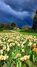 Pavasara elpa pie Gardas ezera